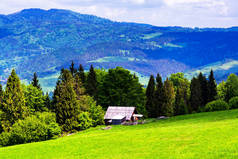 山景。皮纳尼山脉草原和森林全景。波兰喀尔巴阡山脉景观