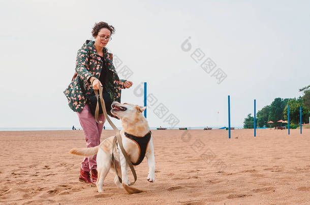 秋天，一个女孩<strong>和</strong>一只<strong>小鹿</strong>拉布拉多猎犬在沙滩上玩耍。带着一只狗在海上旅行
