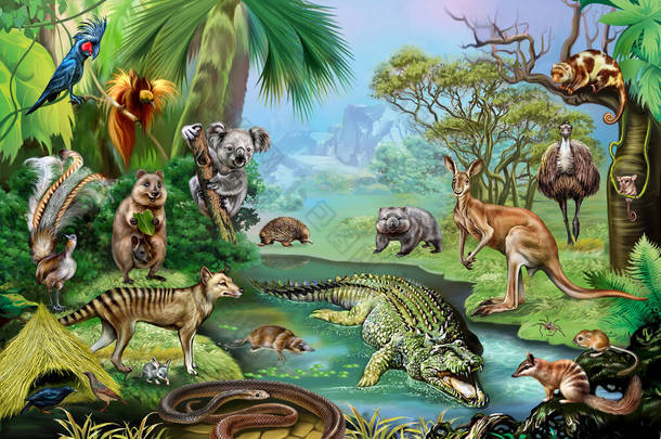 澳大利亚的各种动物。描述了不同种类的哺乳动物和爬行动物在其自然栖息地中的情况