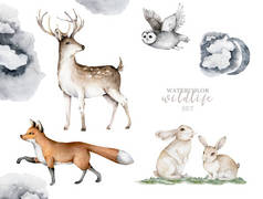 森林动物。现实的冬天可爱的行走的野生动物狐狸,鹿,猫头鹰和风景孤立的画面在白色的背景上.和野生动物在一起的村庄捕食者，农场