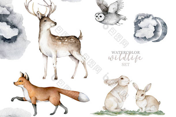 森林动物。现实的冬天可爱的行走的野生动物狐狸,鹿,猫头鹰和风景孤立的画面在白色的<strong>背景</strong>上.和野生动物在一起的村庄捕食者，<strong>农场</strong>