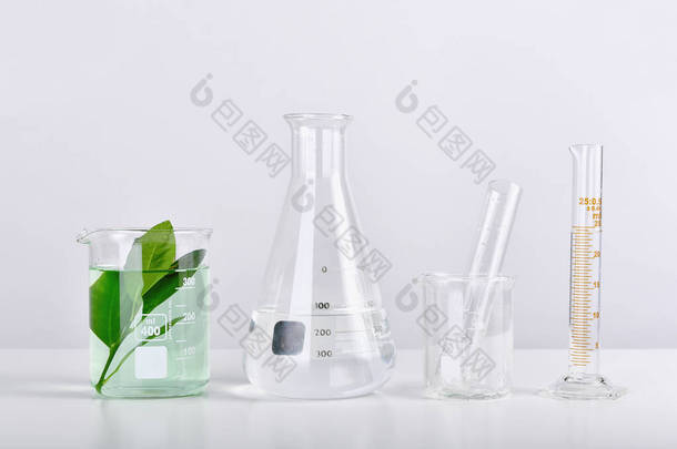 天然有机萃取和绿色草本植物叶，实验室科学玻璃器皿.