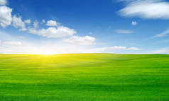 绿地，蓝天，阳光. 