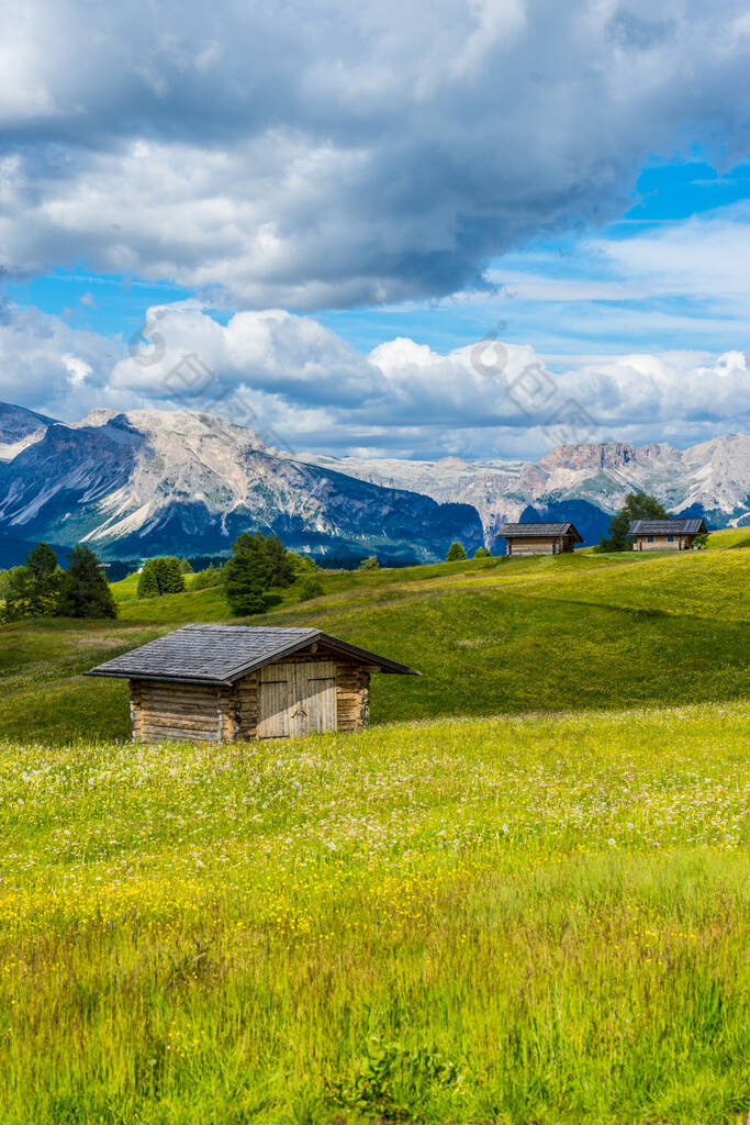 意大利, Alpe di Siusi, Seiser Alm with Sassolungo Langkofel Dolomite,一个田里的旧谷仓