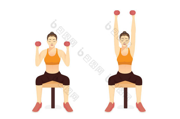 女人们坐在长椅上做座式哑铃<strong>推子</strong>。胳膊、胸部、肩部运动图说明.