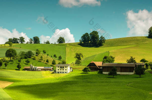 瑞士农村地区农舍和谷仓的景观。有机农业的概念。五彩<strong>缤纷</strong>的夏<strong>季</strong>农村土地观.田野和美丽的蓝天.