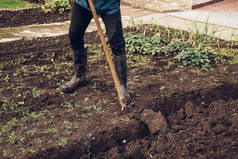 临时工与铁锹作斗争，以制造足够大的粪槽，这将改善土壤中养分的比例。检疫期间的体力劳动.