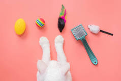 宠物用的白猫爪和配件：球、老鼠、梳子。粉色背景，复制空间，顶部视图。宠物用品的概念.