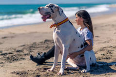 在一个阳光灿烂的日子里，她和她的狗在沙滩上的沙滩上玩耍，在水边穿着运动服.