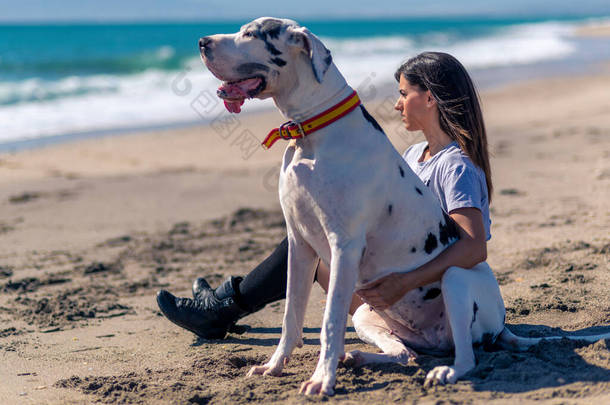 在一个<strong>阳光</strong>灿烂的日子里，她和她的狗在<strong>沙滩</strong>上的<strong>沙滩</strong>上玩耍，在水边穿着运动服.