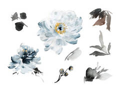 结婚卡片和邀请函的一套蓝色花卉元素 
