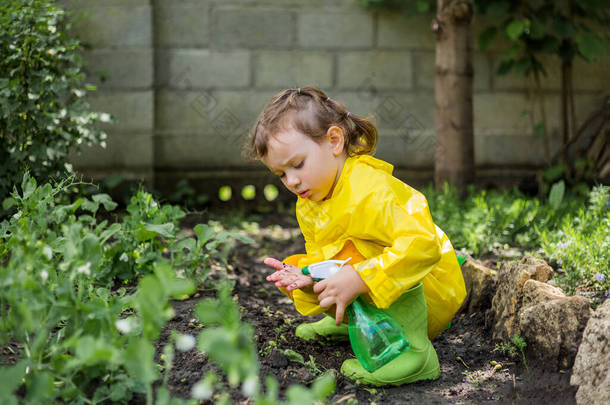 一位穿着黄色雨衣和绿色橡胶靴的<strong>小女孩</strong>助手帮花园里的植物<strong>浇水</strong>
