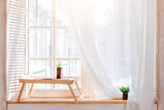 绿色仙人掌，窗台上的肉质，木质桌子，背景轻柔。春季或夏季贺卡。窗台上的家用植物