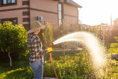 在阳光灿烂温暖的夏日，穿着工作服的女园丁在菜园里给床上浇水。在花园和农场工作的概念
