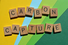 碳捕获，用木制字母表示的词，用绿色、蓝色和黄色隔开