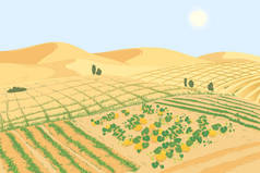 采用农业技术解决全球土地荒漠化问题的概念。在从沙漠开垦出来的土地上组织蔬菜园的景观。沙子里的瓜果