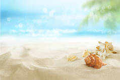沙子里的小弹壳观看阳光灿烂的热带海滩.夏日. 