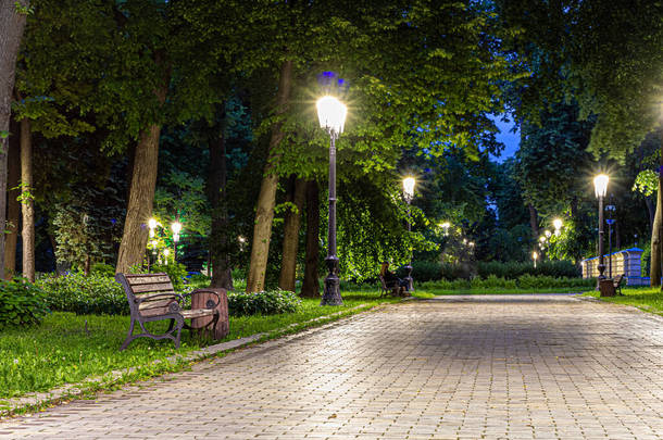 春天里,绿夜公园里铺满了灯笼的小路上.春天的<strong>夜<strong>晚</strong></strong>，公园里的长椅。<strong>夜<strong>晚</strong></strong>点着灯笼的公园路上的灯光。Mariinsky公园。乌克兰.