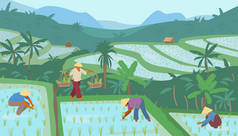 Terraced Asian Rice Fields In Mountains With Workers In Conical Straw Hats. Traditional Agriculture.