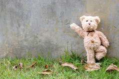 泰迪熊，毛绒玩具射击