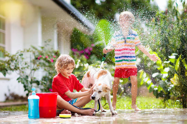 孩子们在夏天的花园里洗狗.水管和洒水的乐趣为孩子。百花盛开的后院,孩子们在户外的庭院里洗小狗.孩子们玩。带着宠物的孩子家庭浴犬。动物护理.