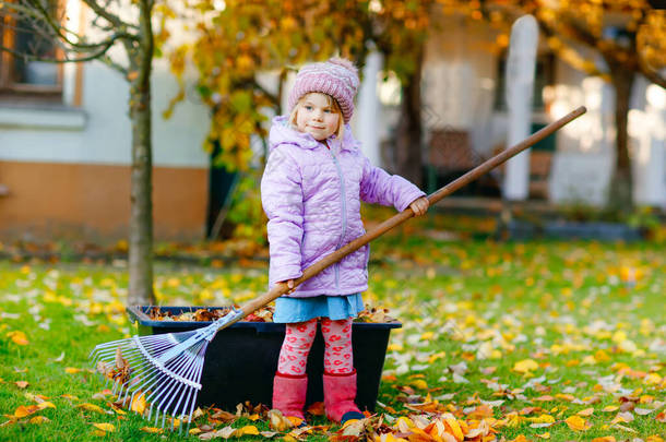 一个蹒跚学步的小女孩在秋天的花园或公园里与耙一起干活。可爱的健康的孩子，在树上的落叶上玩乐。户外的助手真可爱。儿童学习帮助父母