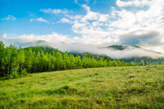 森林边的草地铺满了田野，夕阳西下的大雾笼罩着群山.