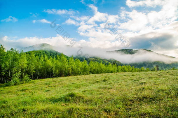 森林边的草地铺满了田野，夕阳西下的大雾笼罩着群山.