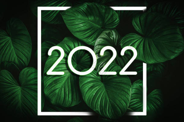 2022年自然绿叶抽象背景。<strong>新春佳节</strong>快乐.