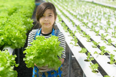 一个快乐可爱的在水栽温室农场学习和学习的女孩，教育和科学家概念