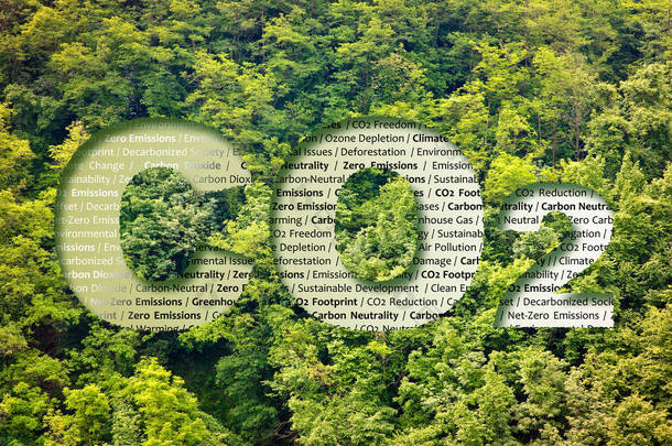 CO2净零排放-针对有关键词森林的碳中和概念