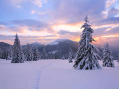 冬天。令人惊奇的日出高山雪白的山峰。雪地上覆盖着霜冻树的全景。自然景观与美丽的天空.