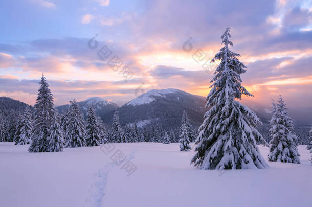 冬天。令人惊奇的日出高山雪白的山峰。雪地上覆盖着霜冻树的全景。自然景观与美丽的天空.