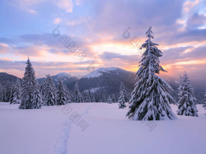 冬天。令人惊奇的日出高山雪白的山峰。雪地上覆盖着霜冻树的全景。自然景观与美丽的天空.