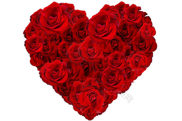 情人节的心做的孤立的白色背景上的红玫瑰
