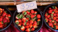 从新鲜收获的草莓中提取成熟的有机草莓.健康食品