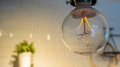 有效的白炽灯灯泡会把电浪费在用小自行车和花盆装饰的墙壁上。装饰古董爱迪生灯泡。案文的篇幅.