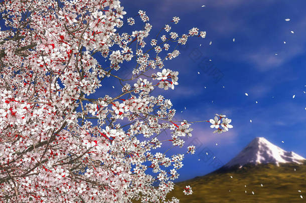 茂盛盛<strong>开</strong>的樱桃树的特写，<strong>开满鲜花</strong>，花瓣飘落，富士山在远方。春天季节自然背景3D图解来自我的3D渲染文件.