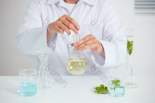 植物在培养皿中提取，在实验室有白色背景，在试管中有绿叶，还有化妆品广告医生，摄影科学概念