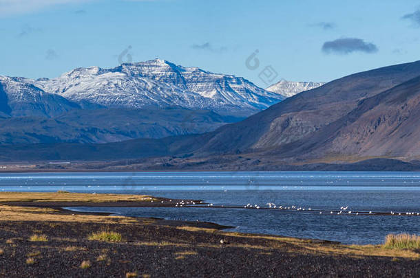 在冰岛的汽车旅行中观看。风景秀丽的冰岛风景：高山、海岸、峡湾、田野、云彩、冰川、瀑布、成群的野鸟.
