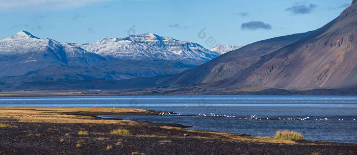 在冰岛的汽车旅行中观看。风景秀丽的冰岛风景：高山、海岸、峡湾、田野、云彩、冰川、瀑布、成群的野鸟.