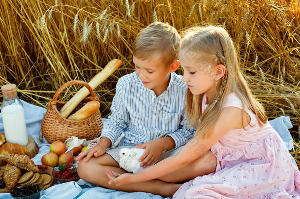 孩子们坐在毛毯上,抱着一只白鸽.一个可爱的小男孩和一个穿着粉红衣服的可爱的小女孩正在麦子外面玩耍。永远的朋友户外运动和野餐.