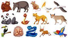 Set of different wild animals cartoon characters illustration