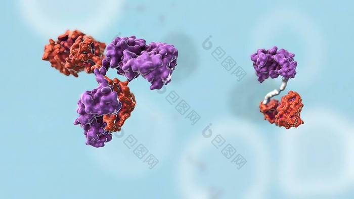 抗肿瘤-抗体3d医学解剖学3D渲染器