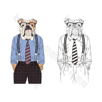 英语斗牛犬穿着复古的业务服装拟人化动物插图动物穿着拟人化动物插图
