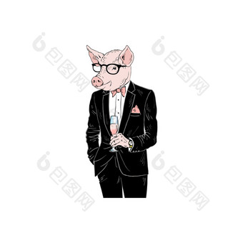 猪男人。穿着燕尾服与chanpagne拟人化动物插图动物穿着拟人化动物插图