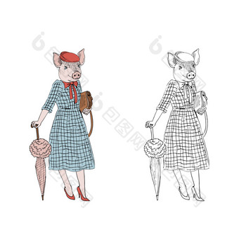 小猪夫人穿着古董风格拟人化动物插图动物穿着拟人化动物插图