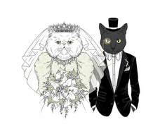 白色波斯猫新娘婚礼衣服与新娘花束和黑色的猫新郎优雅的燕尾服动物拟人化字符为婚礼聚会，派对设计白色波斯猫新娘婚礼衣服与新娘花束和黑色的猫新郎优雅的燕尾服