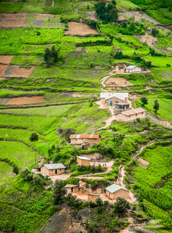 视图从高一些房子而且绿色农业土地集对坡的农村区域的卡巴莱区南部乌干达