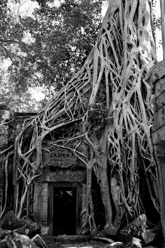 拍摄寺庙吴哥柬埔寨吴哥寺庙废墟